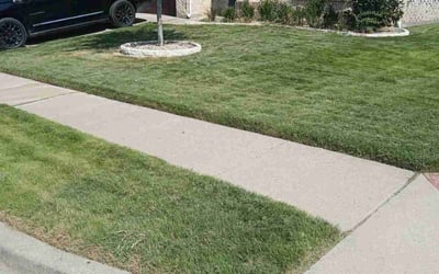 Photo of Elise C.'s yard after getting lawn care in Homer Glen, IL