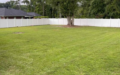 Photo of Brooke L.'s yard after getting lawn care in Brunswick, GA