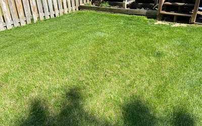 Photo of Brett N.'s yard after getting lawn care in Windsor Mill, MD