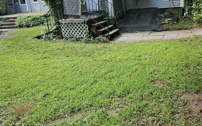 Photo of Tim B.'s yard after getting lawn care in Englewood, NJ