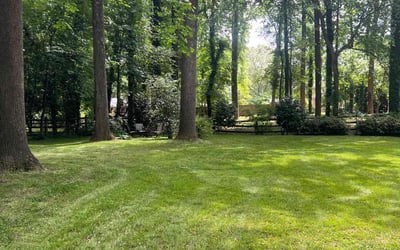 Photo of J M.'s yard after getting lawn care in Deltona, FL