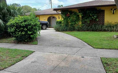 Photo of Shikerria R.'s yard after getting lawn care in Denham Springs, LA
