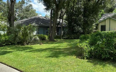 Photo of David R.'s yard after getting lawn care in Altamonte Springs, FL