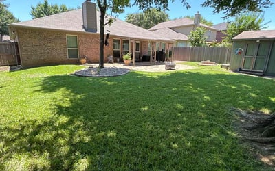 Photo of Nikhil A.'s yard after getting lawn care in Arlington, MA