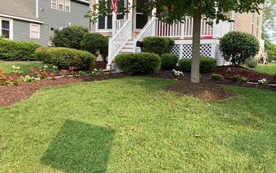 Photo of Darby S.'s yard after getting lawn care in College Park, MD