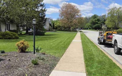 Photo of Rasheen T.'s yard after getting lawn care in Ardmore, PA
