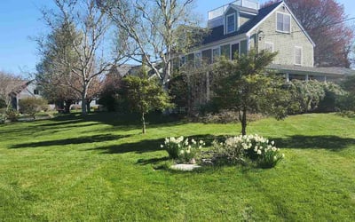 Photo of LaTonya W.'s yard after getting lawn care in Abington, MA