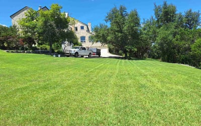 Photo of Christopher H.'s yard after getting lawn care in San Antonio, TX