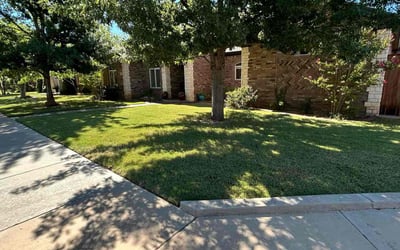 Photo of Maria F.'s yard after getting lawn care in Lubbock, TX