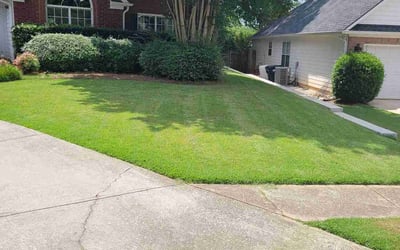 Photo of Patrick G.'s yard after getting lawn care in Umatilla, FL