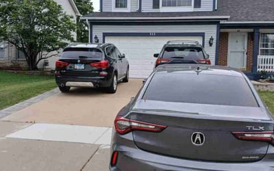 Photo of Fran S.'s yard after getting lawn care in San Clemente, CA