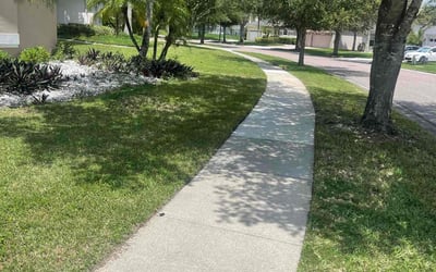 Photo of Maura W.'s yard after getting lawn care in Columbia, MD