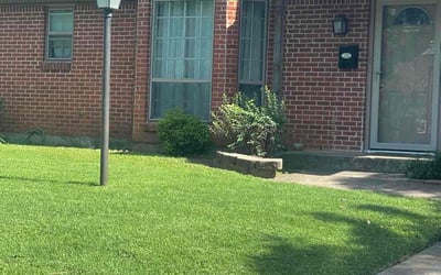 Photo of Daniel A.'s yard after getting lawn care in Rockville, MD