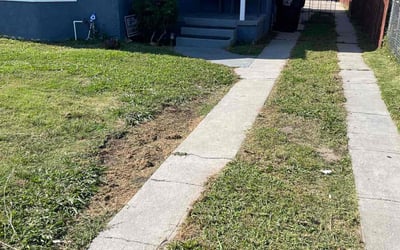 Photo of Angela F.'s yard after getting lawn care in Compton, CA