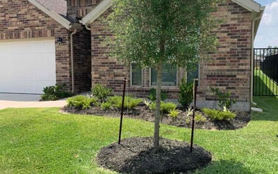 Photo of Tina W.'s yard after getting lawn care in Santa Cruz, CA