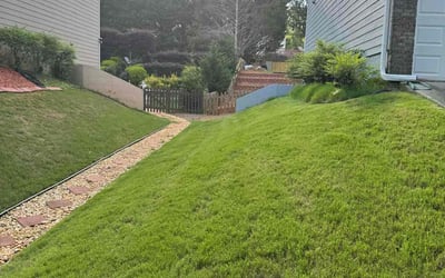 Photo of Bryan M.'s yard after getting lawn care in Chatsworth, GA