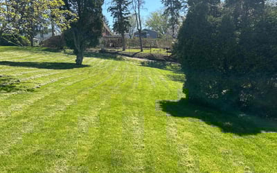Photo of Lindsey M.'s yard after getting lawn care in Washington, PA