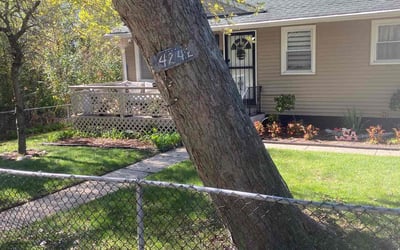 Photo of Davonti M.'s yard after getting lawn care in Gary, IN