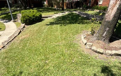 Photo of Wayne P.'s yard after getting lawn care in Mesquite, TX