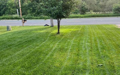 Photo of Cheryl H.'s yard after getting lawn care in Buffalo, MN