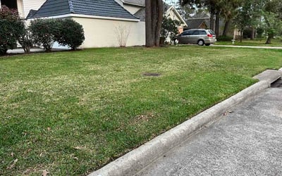 Photo of Bill K.'s yard after getting lawn care in Austin, TX
