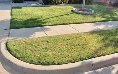 Photo of Lachelle P.'s yard after getting lawn care in Aubrey, TX