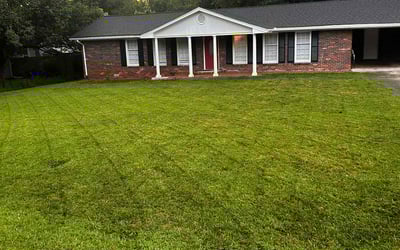 Photo of Lucien V.'s yard after getting lawn care in Sulphur, LA