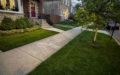 Photo of Cason H.'s yard after getting lawn care in Riverdale, IL
