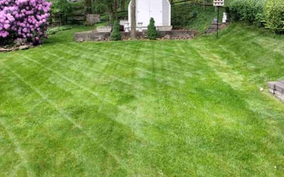 Photo of Amelia F.'s yard after getting lawn care in West Mifflin, PA