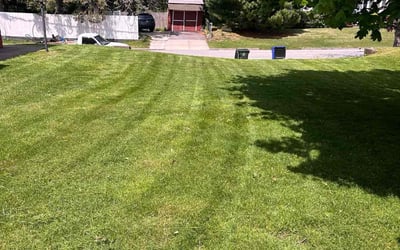 Photo of Josh S.'s yard after getting lawn care in Fall River, MA