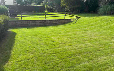 Photo of Jason B.'s yard after getting lawn care in Panama City Beach, FL