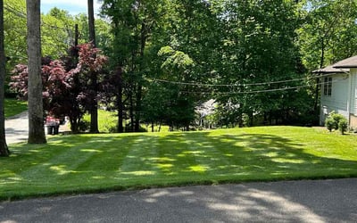 Photo of Sharon K.'s yard after getting lawn care in Wayne, NJ