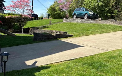 Photo of Elizabeth J.'s yard after getting lawn care in Youngstown, PA