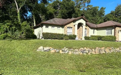 Photo of Beguis V.'s yard after getting lawn care in Longwood, FL