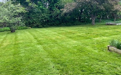 Photo of Kim P.'s yard after getting lawn care in Millsboro, DE