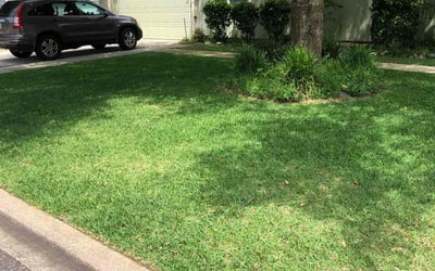 Photo of Mike D.'s yard after getting lawn care in Virginia Beach, VA