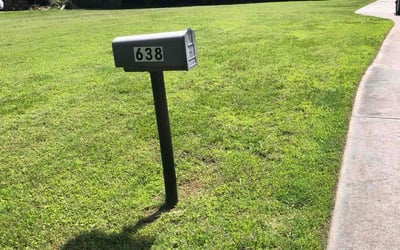 Photo of Thomas H.'s yard after getting lawn care in San Francisco, CA