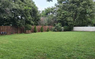 Photo of Mason M.'s yard after getting lawn care in Citrus Heights, CA