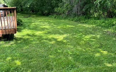 Photo of Patrick V.'s yard after getting lawn care in North Branch, MN