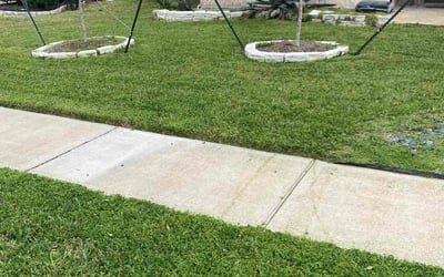 Photo of Denisse M.'s yard after getting lawn care in Dayton, TX