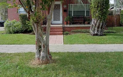 Photo of James M.'s yard after getting lawn care in Natrona Heights, PA