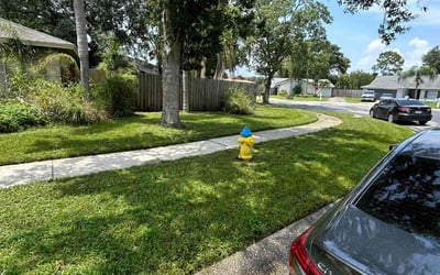 Photo of Kerry M.'s yard after getting lawn care in Long Beach, NY