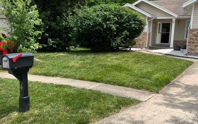 Photo of James B.'s yard after getting lawn care in Lorton, VA