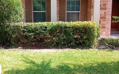 Photo of Danielle J.'s yard after getting lawn care in Haslet, TX