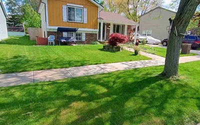 Photo of Maryann A.'s yard after getting lawn care in Springville, UT