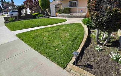 Photo of Lisa G.'s yard after getting lawn care in Lakewood, CA