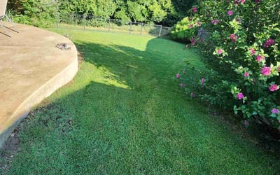 Photo of Terry D.'s yard after getting lawn care in Paso Robles, CA