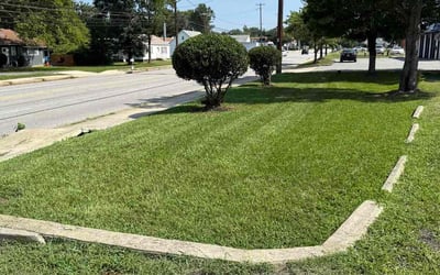 Photo of Beesan E.'s yard after getting lawn care in Orland Park, IL