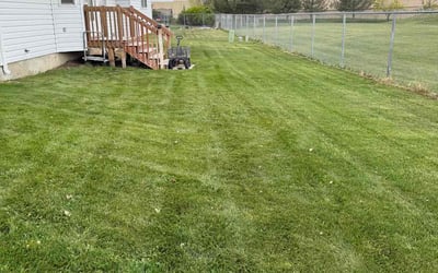 Photo of Matthew H.'s yard after getting lawn care in American Fork, UT