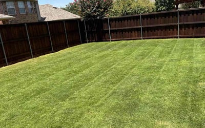 Photo of Leslie F.'s yard after getting lawn care in Lewisville, TX